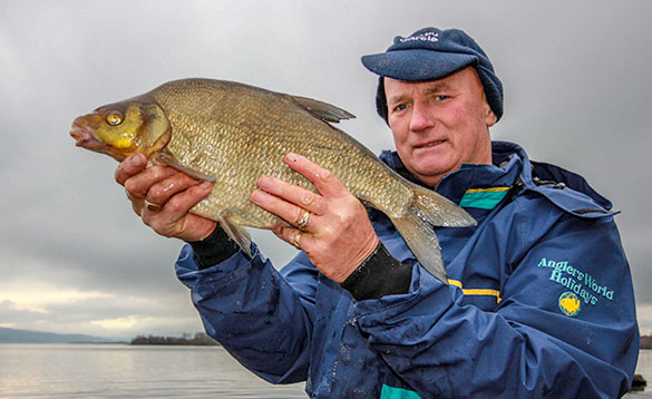 angler holding a recently caught bream/