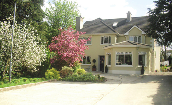 driveway with trees and pink and white bushes to the left leading to a large cream painted house/