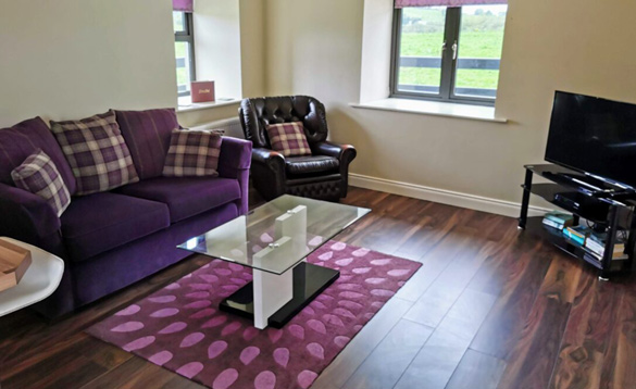 Living room with purple settee/