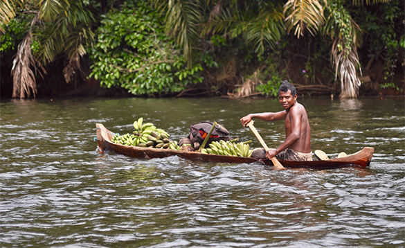 Man in a canoe full of bananas on a river in Nicaragua/