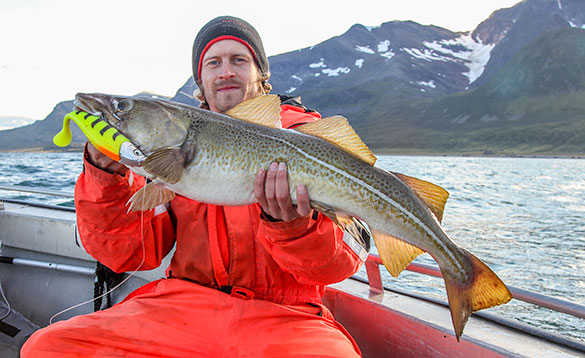 angler holding a cod sitting on a boat on a fjord with snow capped mountains in the background/