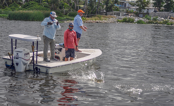 Three anglers fishing from a boat in Puerto Rico/