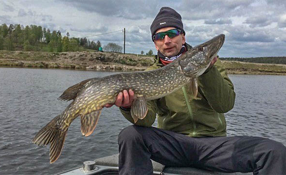 Anglers holding a pike caught in Sweden/