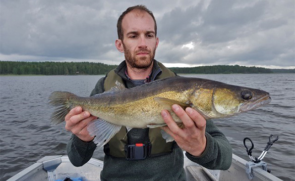 Angler on a boat holding a zander caught in Sweden/