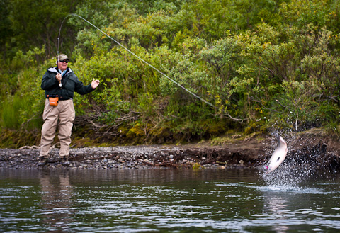 angler stood on a riverbank catching a fish that is leaping out of the water/