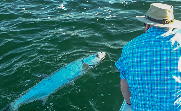Tarpon fish caught by an angler fishing from a boat in Florida/
