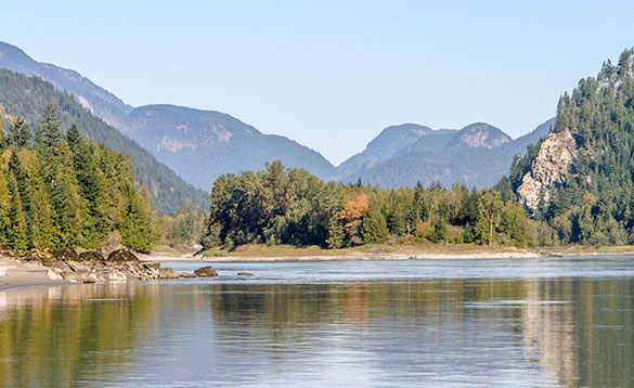 The Fraser River in Canada flowing past tree covered hills and mountains/
