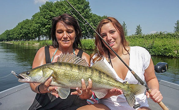guided fishing for zander Holland/