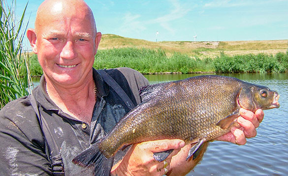 A nice bream from a Dutch canal/