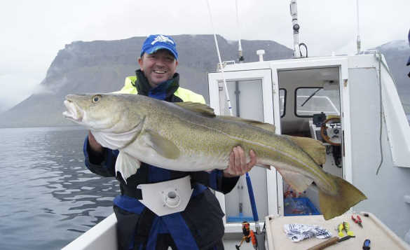 Angler stood on the deck of a boat holding a cod in Iceland/