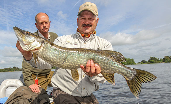 a nice lure caught pike from the mid River Shannon/