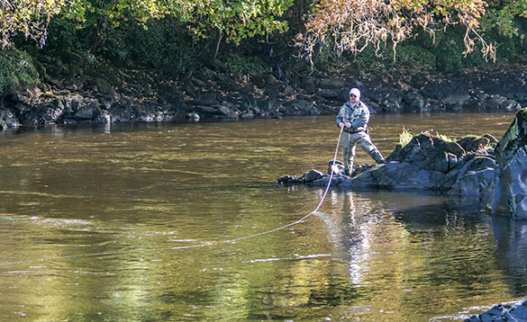 Angler fly fishing in a river in Ireland/