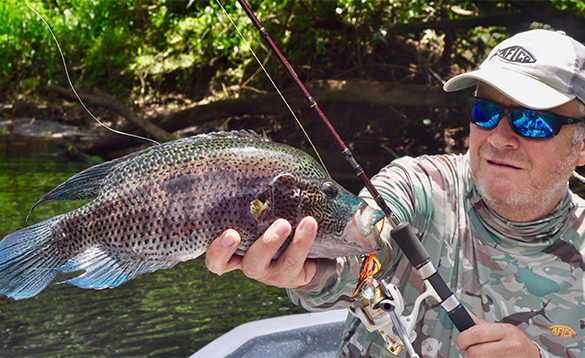 Angler with a rainbow bass in Nicaragua/