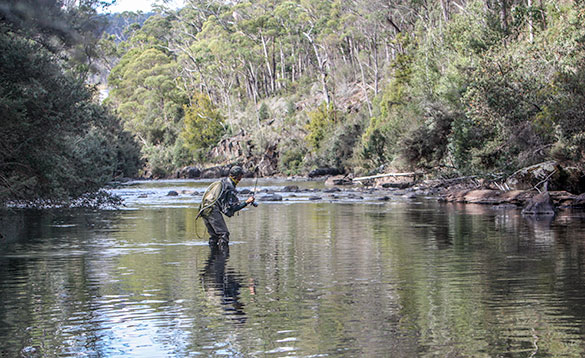 fly fishing a small river in Tasmania/