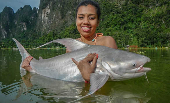 Lady angler standing chest high in water holding a Mekong catfish caught in Thailand/