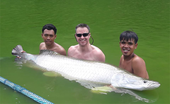 Three anglers holding a arapaima fish caught in Thailand/