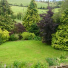 Lawn garden surrounded by trees