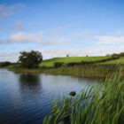 Fields leading down to reed fringed lake