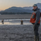 Man stood on a sandy riverbank with three bear cobs near the river