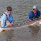 Two people holding a large sturgeon fish in shallow water near a boat