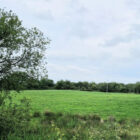 Scenic rural landscape view showing lush green pastures and woodland.