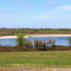 A scenic view of a blue lake surrounded by green fields and low-lying trees under a clear sky.