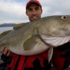 Angler on a boat holding a large cod