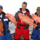 Three anglers on a boat holding four redfish