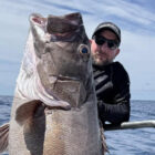 Angler stood behind a very large bass fish