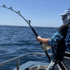 Angler fishing from a boat at sea