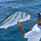 Angler holding a roosterfish