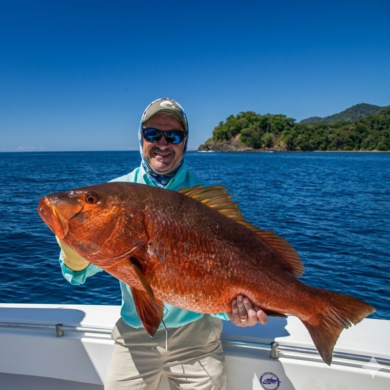 Angler holding a cubera snapper fish