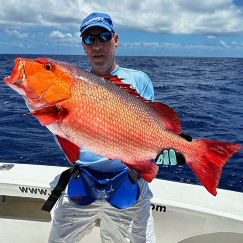 Angler holding a coral trout fish