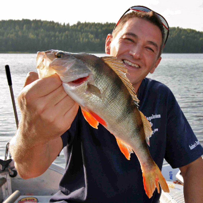 Angler holding a perch caught in Sweden