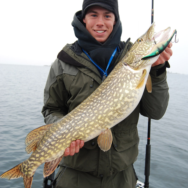 Angler holding a pike caught in Sweden