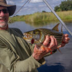 A smiling man wearing sunglasses and a wide-brimmed hat holds a tiger fish he caught in a Botswana river. The fish's large, sharp teeth and silver scales with dark stripes are prominently displayed alongside a red fishing lure, with a lush green shoreline and blue sky in the background.
