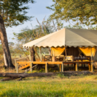 A large, tan safari tent with a scalloped canopy set on an elevated wooden platform. The platform includes a small deck with chairs, surrounded by trees and dry grass in a wilderness setting.