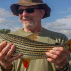 A smiling man wearing sunglasses and a brown hat holds a large tigerfish with distinct black stripes and bright orange fins over a river backdrop.