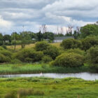 Distant view of a white cottage on a hill overlooking a quiet river and green wetlands.