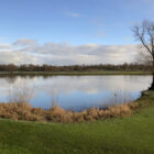 Scenic view of a calm lake bordered by green grass and bare trees under a cloudy sky.