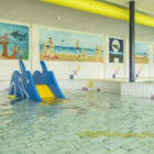 Indoor kids' swimming pool with a blue dolphin-themed slide and aquatic wall murals.
