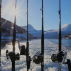 Fishing rods lined up on the stern of a boat cruising past snowy Arctic mountains