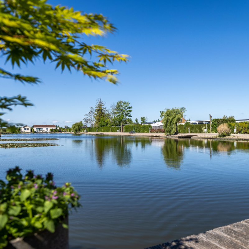 Calm fishing lake on a clear sunny day with holiday chalets visible along the shore.