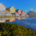 Split-level view showing colourful coastal cottages on stilts above and clear blue water with sea plants below.